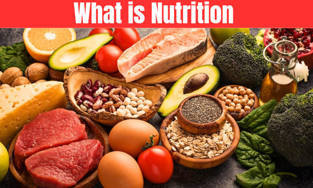 What is Nutrition