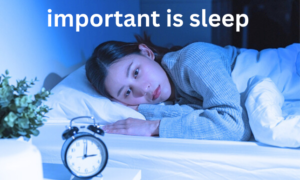 How important is sleep in human life