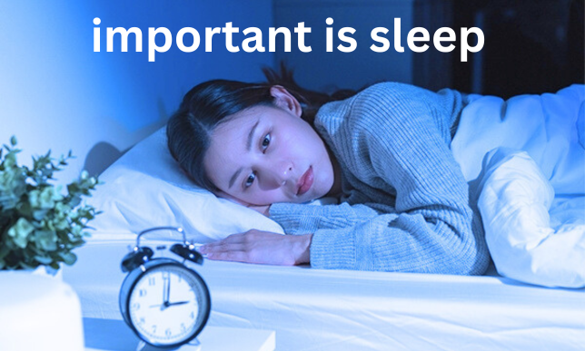 How important is sleep in human life?