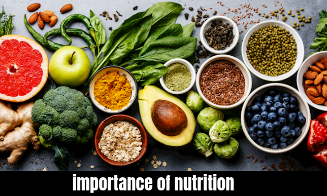 importance of nutrition